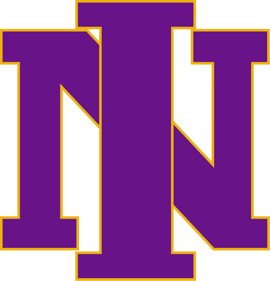 Northern Iowa Panthers 2000-2001 Primary Logo diy DTF decal sticker